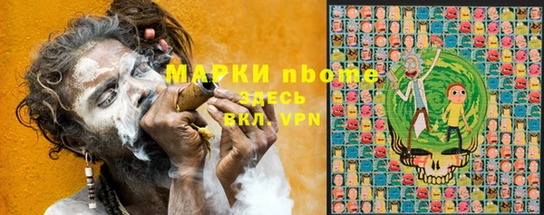 гашик Арсеньев
