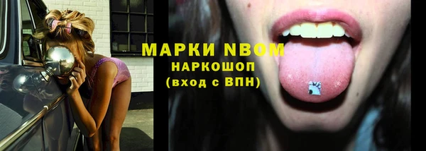 гашик Арсеньев