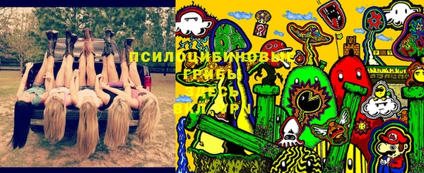 соль курить ск Аркадак